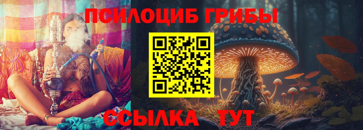 Псилоцибиновые грибы Psilocybe  где найти наркотики  Егорьевск  Вход с VPN 
